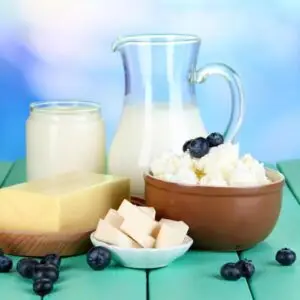 Dairy Flavors